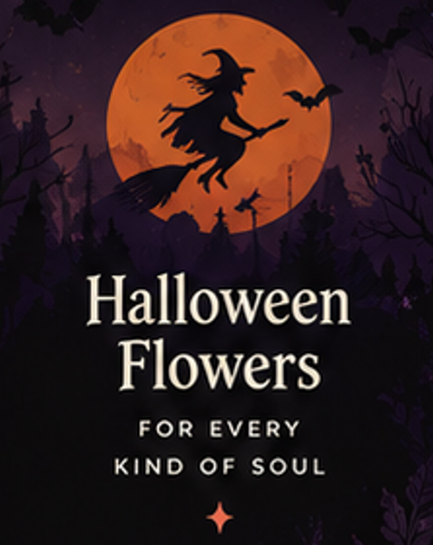 A witch on a broomstick flying across an orange full moon, with the words Halloween Flowers for every kind of soul